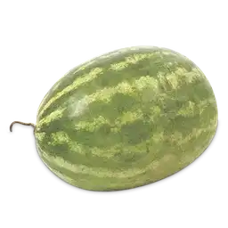 Makro Patilla-Sandía