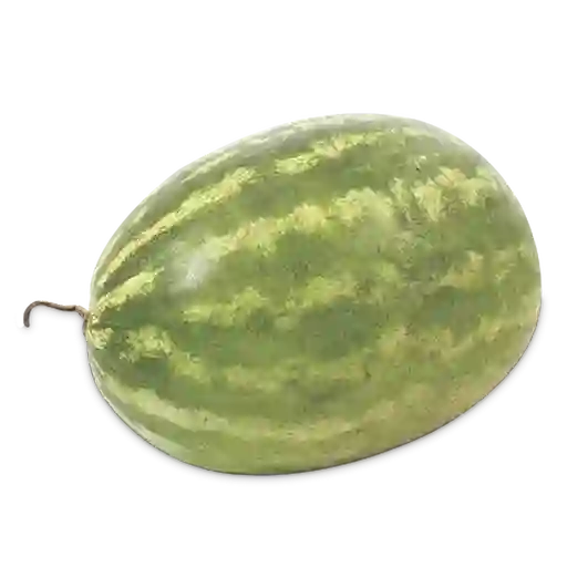 Makro Patilla-Sandía