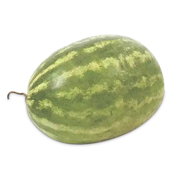 Makro Patilla-Sandía