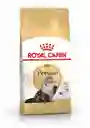 Royal Canin Alimento para Gato Adulto Persa