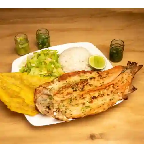 Trucha al ajillo