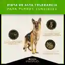PRO PLAN SKIN & STOMACH ADULTO 3,5 kg