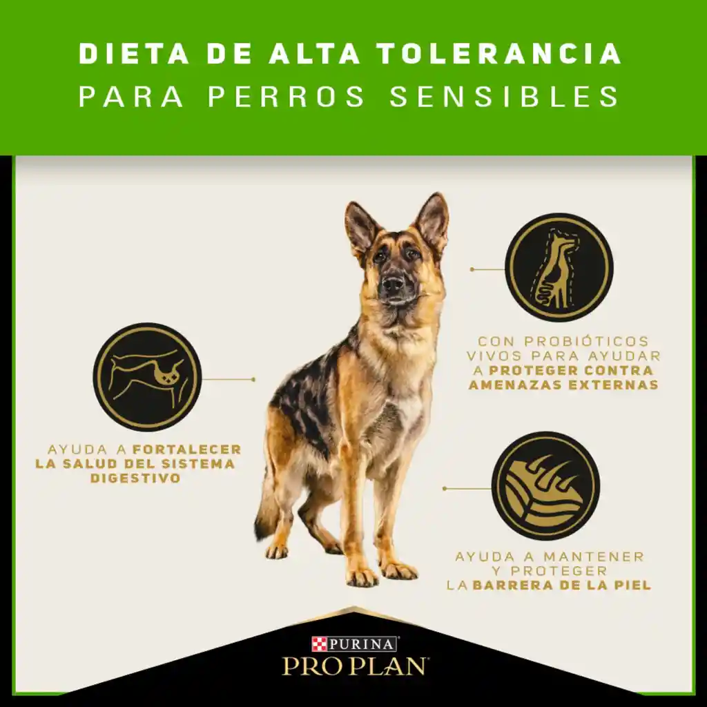 PRO PLAN SKIN & STOMACH ADULTO 3,5 kg
