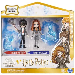 Set De Amigos Harry Potter Y Ginny Weasley Wizarding World