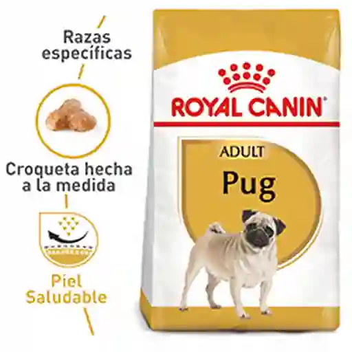 Royal Canin Nutrición para la Salud de la Raza Pug Adulto