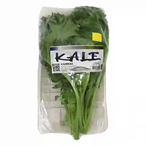 Camsal Kale Compostable
