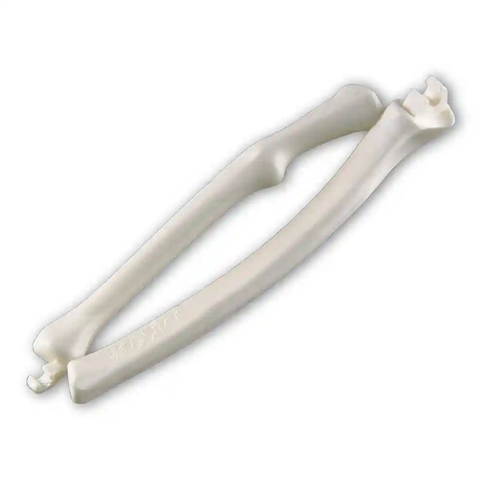 Cúbitoradio Derecho Rba