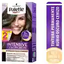 Palette Tinte Intensive Color Creme Permanente Rubio Cenizo 6-1