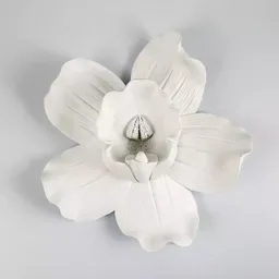 Expressions Figura Decorativa 88290 33