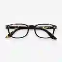 Inkanta Gafas Letmesee Carey + 2.5 Modelo B