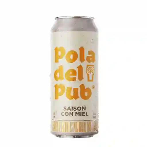 Cerveza Temporada Saisson Con Miel Pola Del Pub