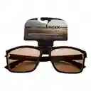 Colg Sunbox Gafas Sol Maxim