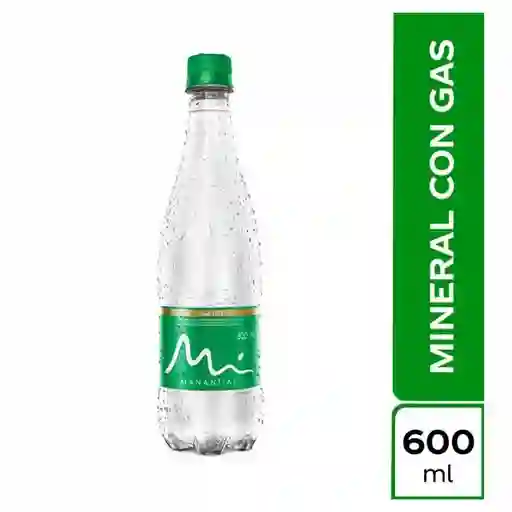 Agua con gas botella