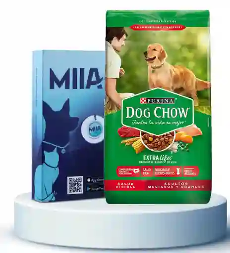 Combo Miia + Alimento Para Perros Dog Chow Adulto Raza Mediana