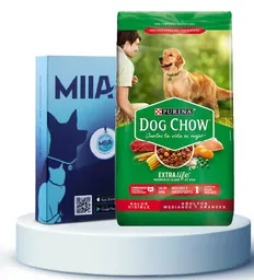Combo Miia + Alimento Para Perros Dog Chow Adulto Raza Mediana