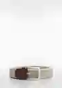 Cinturón Elástico Beige Talla 90 Hombre Mango