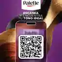 Tinte Palette Color Creme 6-99 Violeta Profundo