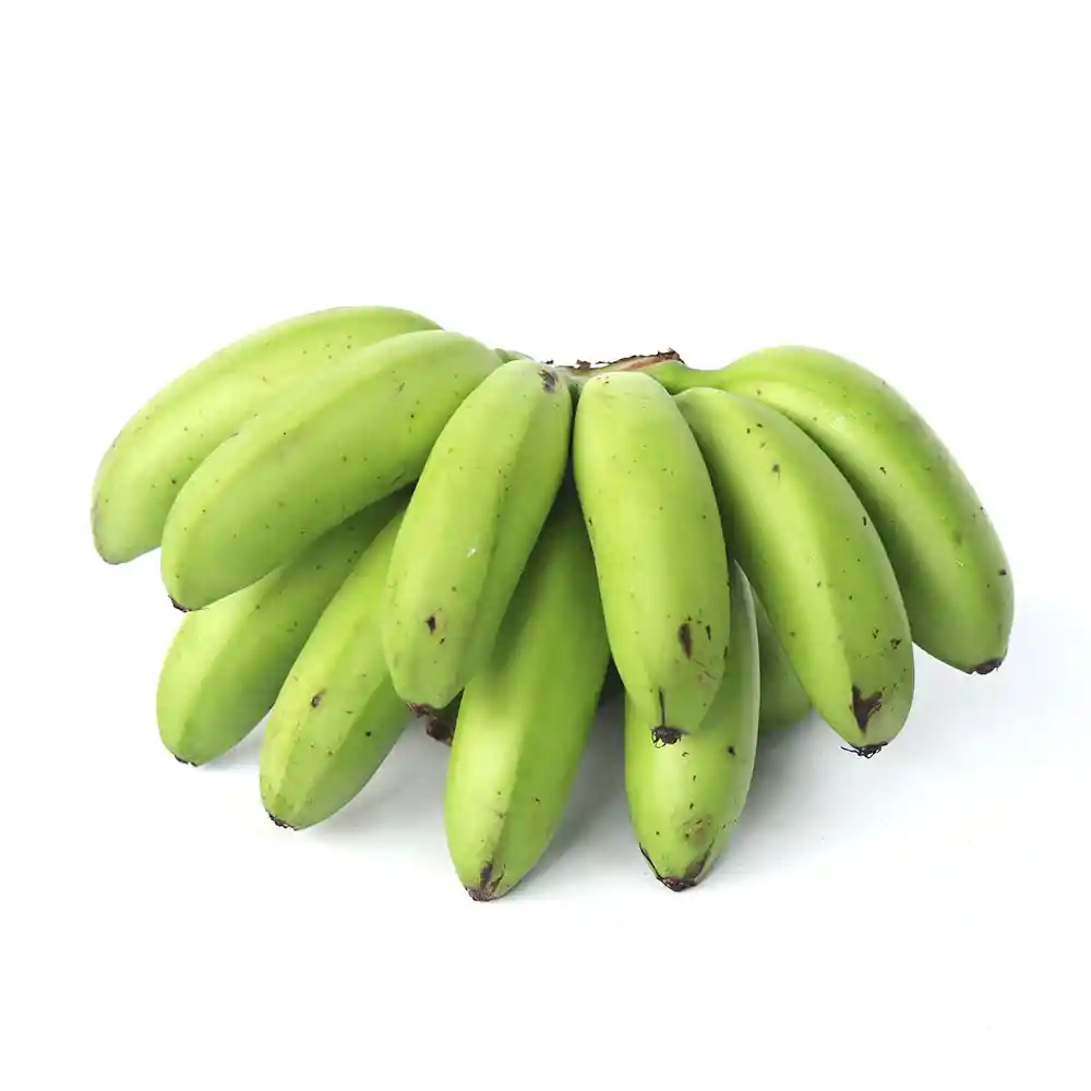 Platano Murrapo