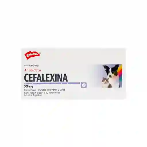 Holliday Cefalexina Antibiótico para Perros y Gatos (500 mg)