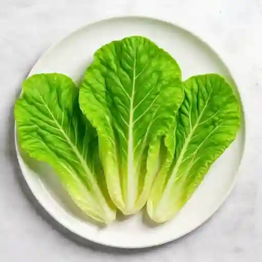 Hojas de repollo