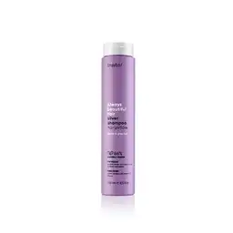 Erayba Shampoo Tonalizador Abh Silver