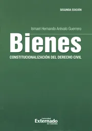 Bienes: Constitucionalización del derecho civil - 2da. Edición