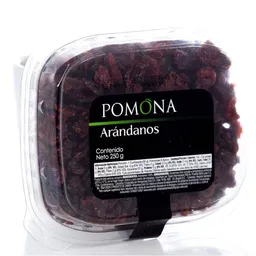 Pomona Arandanos