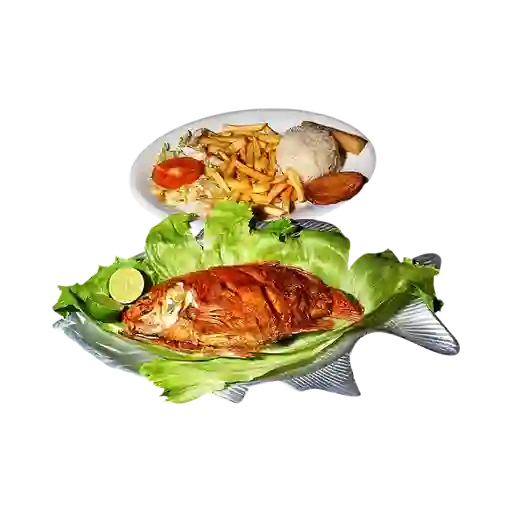Mojarra
