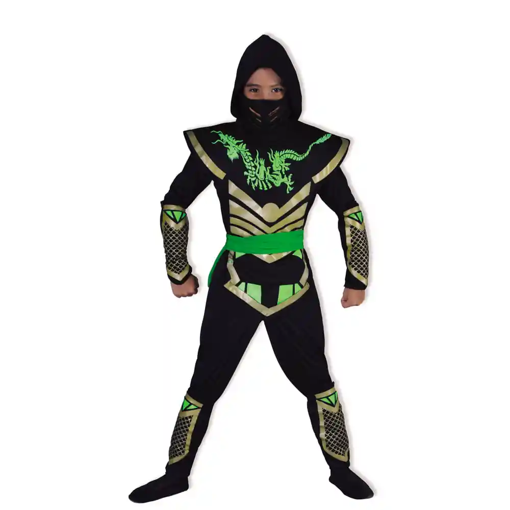 Disfraz de Super Dragon Fantastic Night Surtido 1785