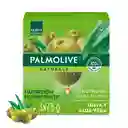 Palmolive Jabón e en Barra