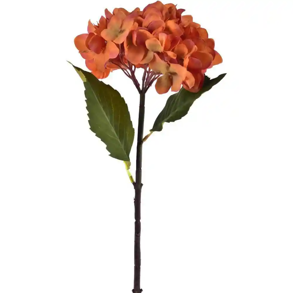 Flor Hortensia Concepts 456502948