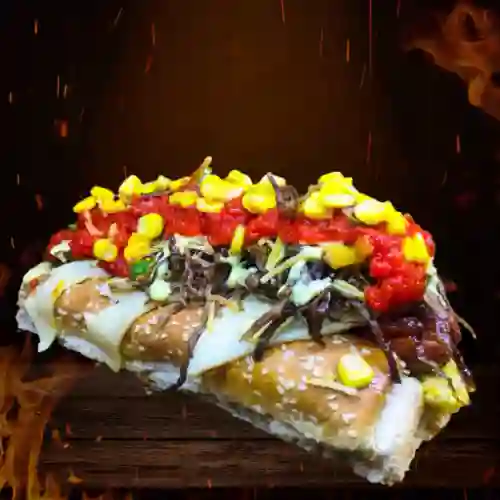 Perro Criollo