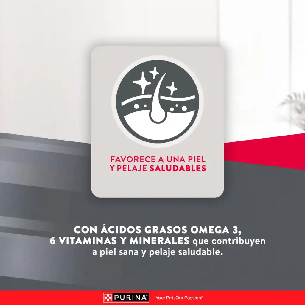 Comida para perros EXCELLENT ADULT Razas Pequeñas x 3 kg