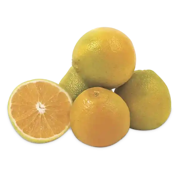 Makro Naranja Nacional Tangelo