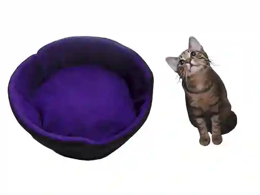 Cama Para Gato Grande Morado