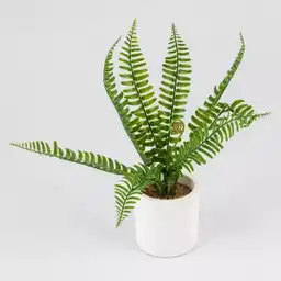 Expressions Planta Artificial 15 x 15 x 27 cm 718-05333