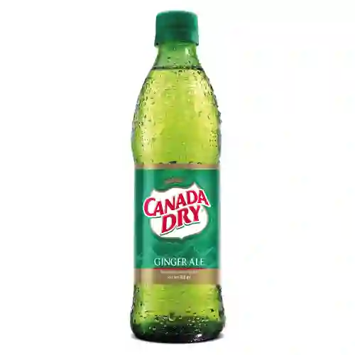 Canada Dry Ginger Ale 300 ml