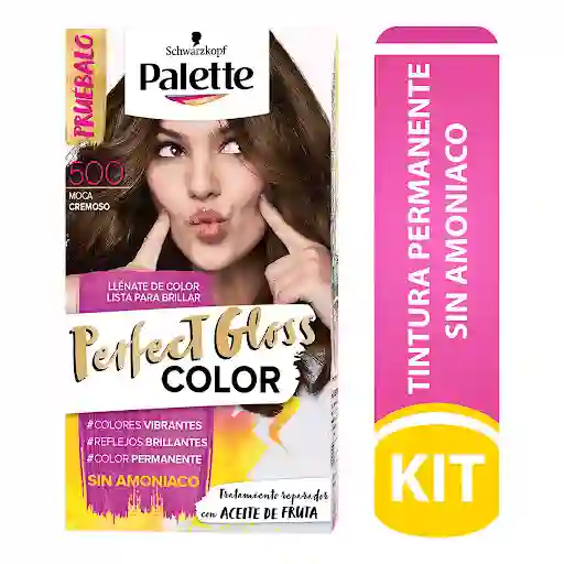 Palette Tinte Perfect Gloss sin Amoníaco Tono 500