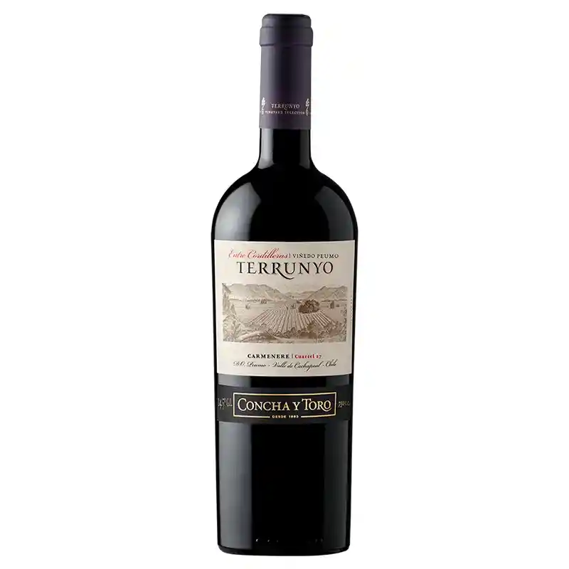 Terrunyo Vino Tinto Carmenere