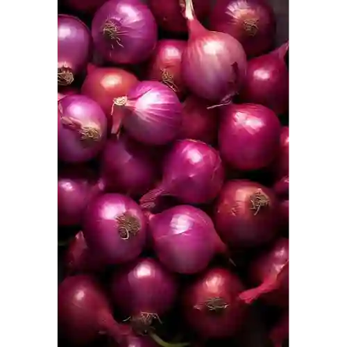 Cebolla Ocañera