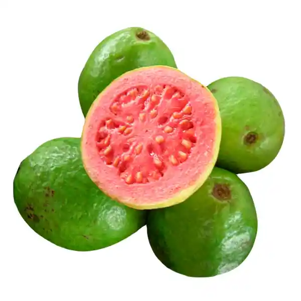 Guayaba