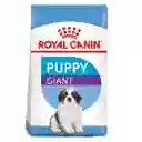 Royal Canin Alimento para Perro Cachorro Raza Gigante