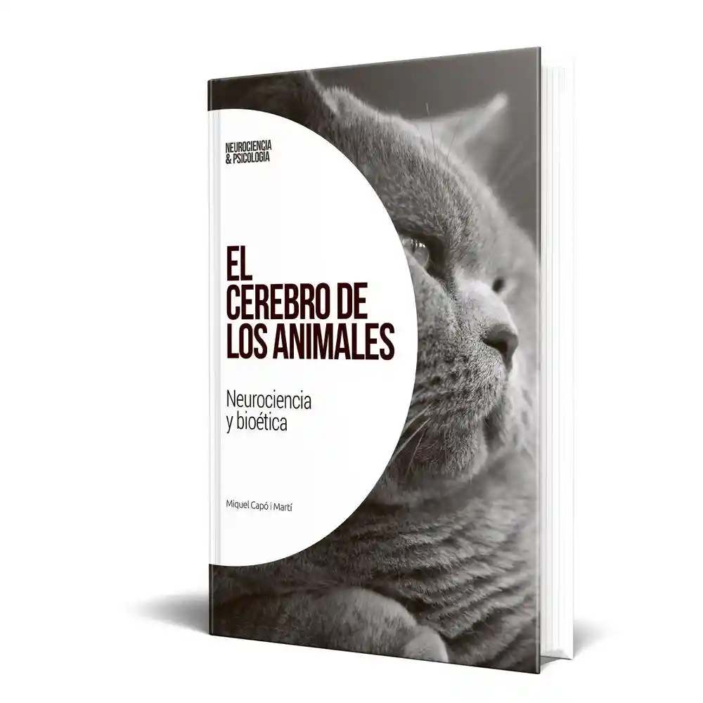 Neurociencia T45 El El Tiempo 700005444