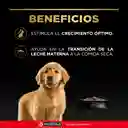Comida para Perros cachorros razas medianas Purina Pro Plan x 3 kg