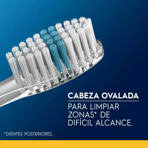 Cepillo de Dientes Oral-B Clean Indicator Medio 2 Unidades