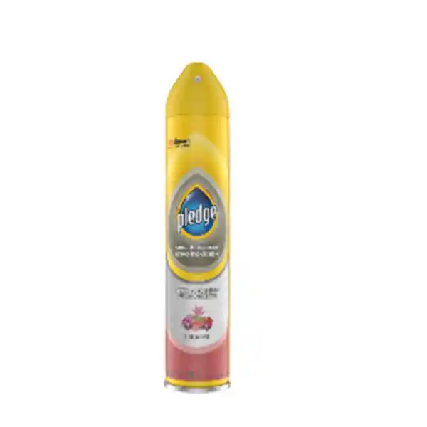 Pledge Lustrador de Muebles Aerosol Acero Inoxidable Potpurri