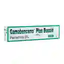 Gamabenceno Plus Crema (5 %)