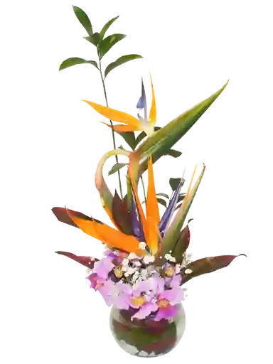 Arreglo De Flores En Aves Y Orquídeas