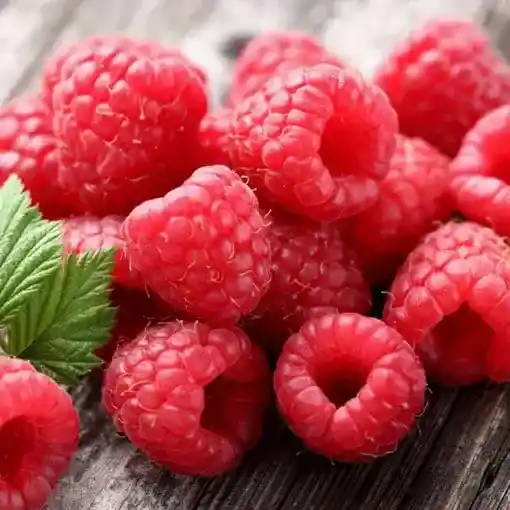 Frambuesa Europea Roja