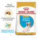 Royal Canin Alimento para Perro Bulldog Francés Cachorros
